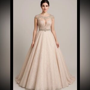 VC by Viola Chan bridal collection, blush with stones illusion top size 12